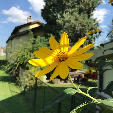 Апартаменты Garden's -