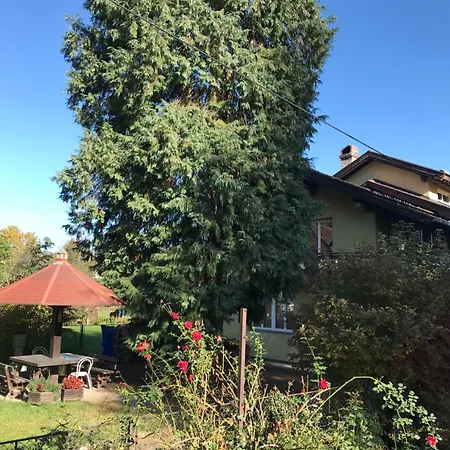 Garden's - Daire Kosjeric