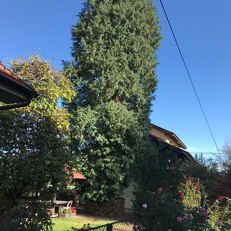 アパート Garden's - Kosjerić